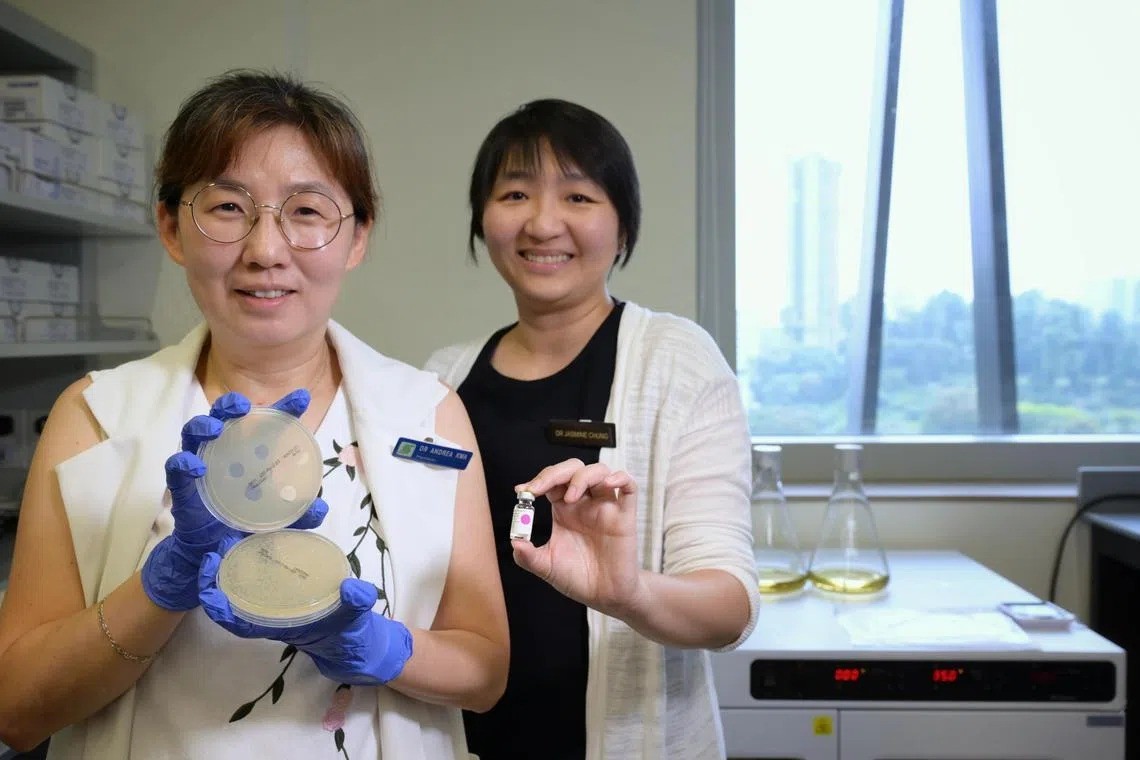 SGH phage therapy team